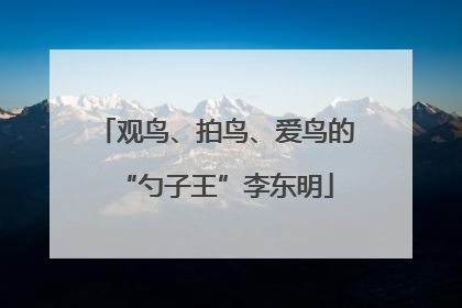 观鸟、拍鸟、爱鸟的“勺子王”李东明