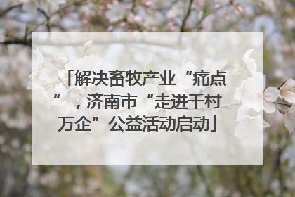 解决畜牧产业“痛点”，济南市“走进千村万企”公益活动启动