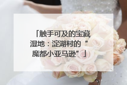 触手可及的宝藏湿地：淀湖村的“魔都小亚马逊”