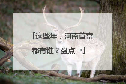 这些年，河南首富都有谁？盘点→
