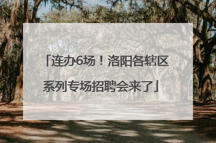 连办6场！洛阳各辖区系列专场招聘会来了