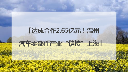达成合作2.65亿元！温州汽车零部件产业“链接”上海