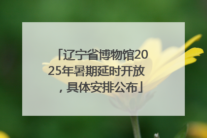 辽宁省博物馆2025年暑期延时开放，具体安排公布