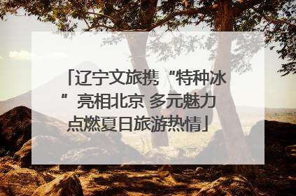辽宁文旅携“特种冰”亮相北京 多元魅力点燃夏日旅游热情