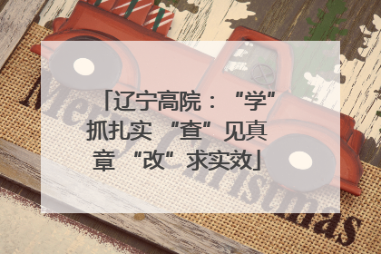 辽宁高院：“学”抓扎实 “查”见真章 “改”求实效