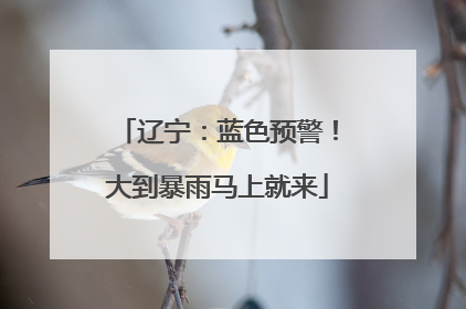 辽宁：蓝色预警！大到暴雨马上就来