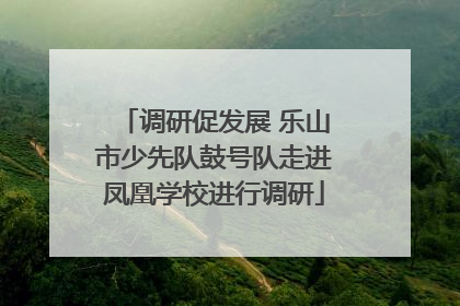 调研促发展 乐山市少先队鼓号队走进凤凰学校进行调研