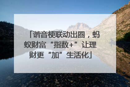 谐音梗联动出圈，蚂蚁财富“指数+”让理财更“加”生活化