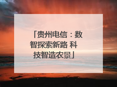 贵州电信：数智探索新路 科技智造农景