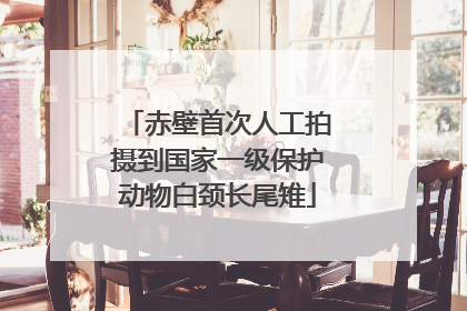 赤壁首次人工拍摄到国家一级保护动物白颈长尾雉