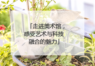 走进美术馆，感受艺术与科技融合的魅力