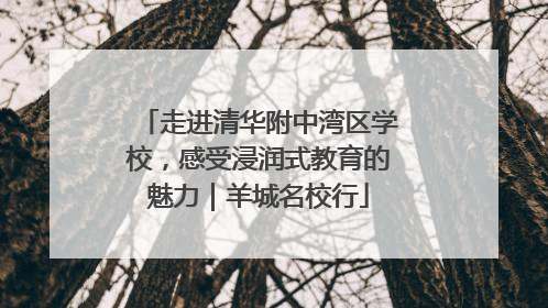 走进清华附中湾区学校，感受浸润式教育的魅力｜羊城名校行