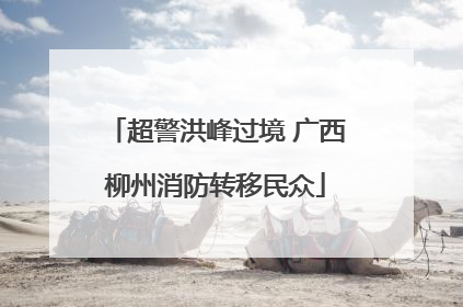 超警洪峰过境 广西柳州消防转移民众