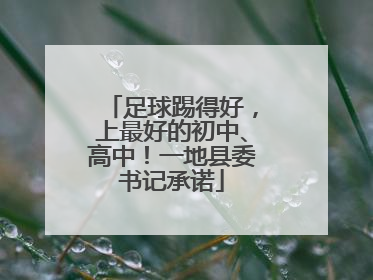 足球踢得好，上最好的初中、高中！一地县委书记承诺