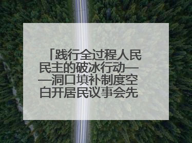 践行全过程人民民主的破冰行动——洞口填补制度空白开居民议事会先河侧记