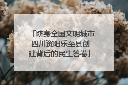 跻身全国文明城市 四川资阳乐至县创建背后的民生答卷