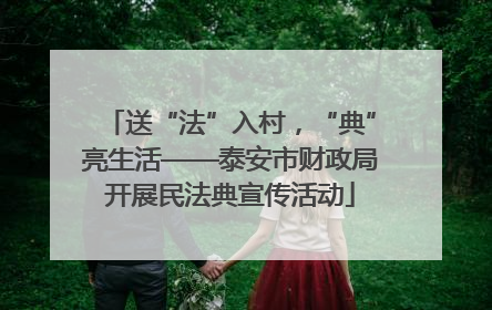 送“法”入村，“典”亮生活——泰安市财政局开展民法典宣传活动