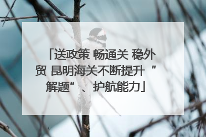 送政策 畅通关 稳外贸 昆明海关不断提升“解题”、护航能力