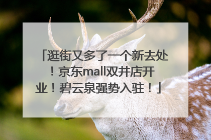 逛街又多了一个新去处！京东mall双井店开业！碧云泉强势入驻！