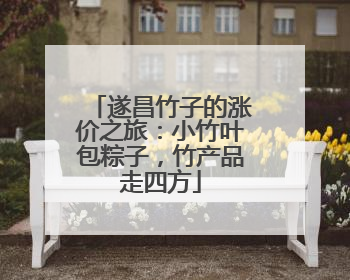 遂昌竹子的涨价之旅：小竹叶包粽子，竹产品走四方