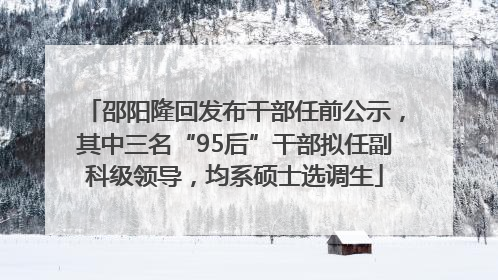 邵阳隆回发布干部任前公示，其中三名“95后”干部拟任副科级领导，均系硕士选调生