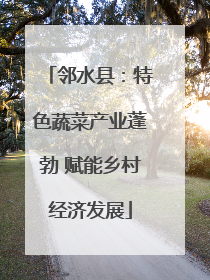 邻水县：特色蔬菜产业蓬勃 赋能乡村经济发展