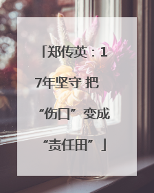 郑传英：17年坚守 把“伤口”变成“责任田”