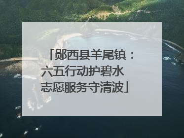 郧西县羊尾镇：六五行动护碧水 志愿服务守清波