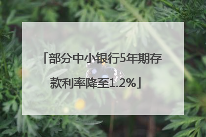 部分中小银行5年期存款利率降至1.2%