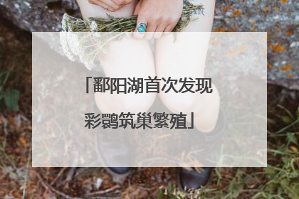 鄱阳湖首次发现彩鹮筑巢繁殖