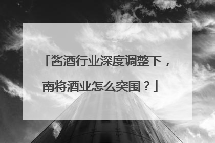 酱酒行业深度调整下，南将酒业怎么突围？