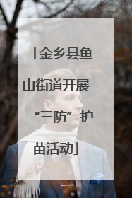 金乡县鱼山街道开展“三防”护苗活动