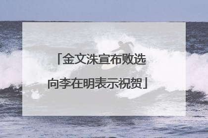 金文洙宣布败选 向李在明表示祝贺