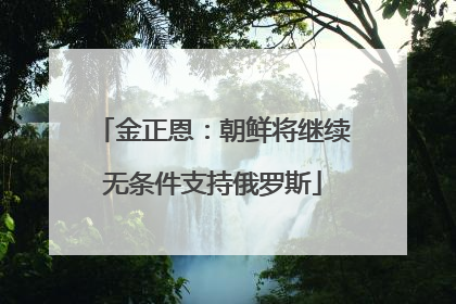 金正恩：朝鲜将继续无条件支持俄罗斯