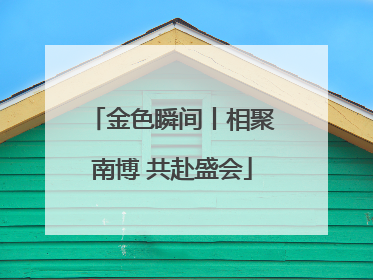 金色瞬间丨相聚南博 共赴盛会