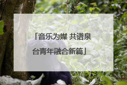 音乐为媒 共谱泉台青年融合新篇