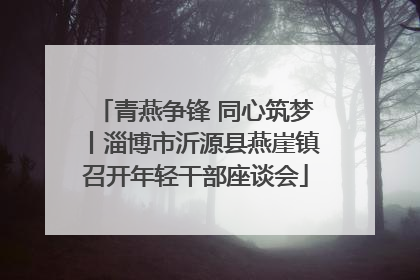 青燕争锋 同心筑梦丨淄博市沂源县燕崖镇召开年轻干部座谈会