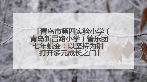 青岛市第四实验小学（青岛新昌路小学）管乐团七年蜕变：以坚持为钥 打开多元成长之门