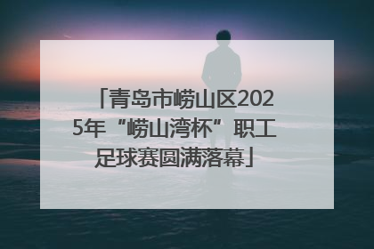 青岛市崂山区2025年“崂山湾杯”职工足球赛圆满落幕