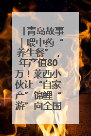 青岛故事｜喂中药“养生餐”，年产值80万！莱西小伙让“自家产”锦鲤“游”向全国
