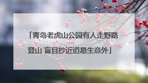 青岛老虎山公园有人走野路登山 盲目抄近道易生意外
