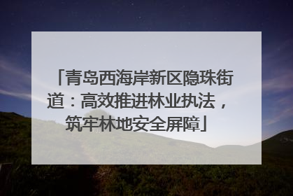 青岛西海岸新区隐珠街道：高效推进林业执法，筑牢林地安全屏障