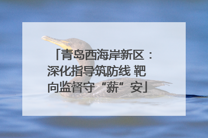 青岛西海岸新区：深化指导筑防线 靶向监督守“薪”安
