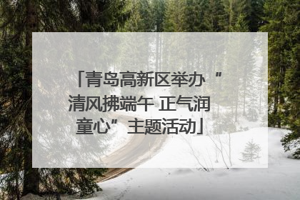 青岛高新区举办“清风拂端午 正气润童心”主题活动