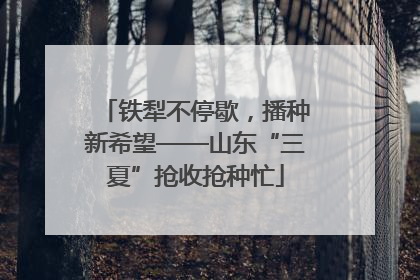 铁犁不停歇，播种新希望——山东“三夏”抢收抢种忙