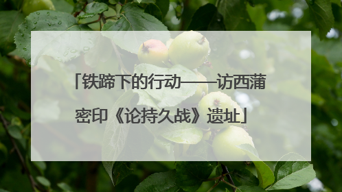 铁蹄下的行动——访西蒲密印《论持久战》遗址