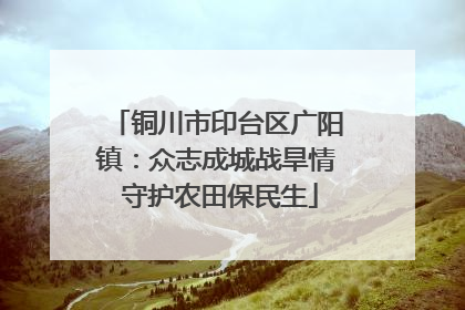 铜川市印台区广阳镇：众志成城战旱情 守护农田保民生