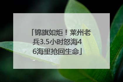 锦旗如炬！莱州老兵3.5小时怒海46海里抢回生命