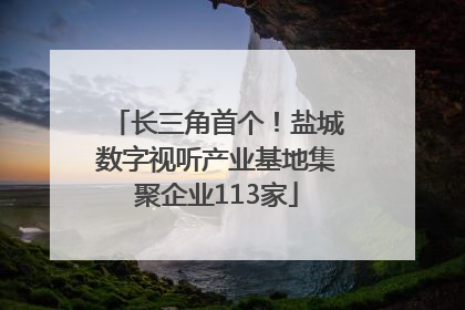 长三角首个！盐城数字视听产业基地集聚企业113家