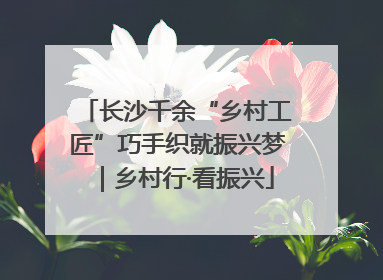 长沙千余“乡村工匠”巧手织就振兴梦｜乡村行·看振兴